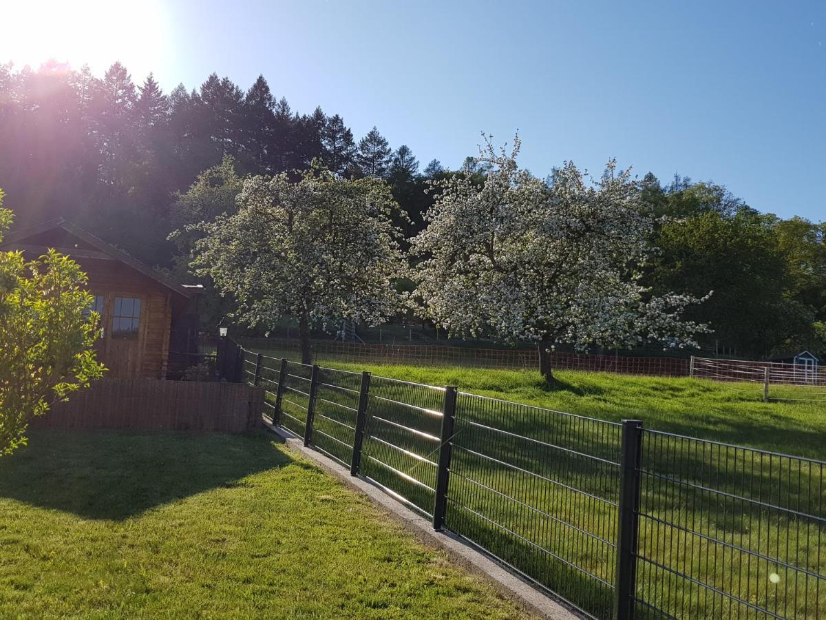 Ferienwohnung Tinas Beauty 内卡尔斯泰纳 外观 照片