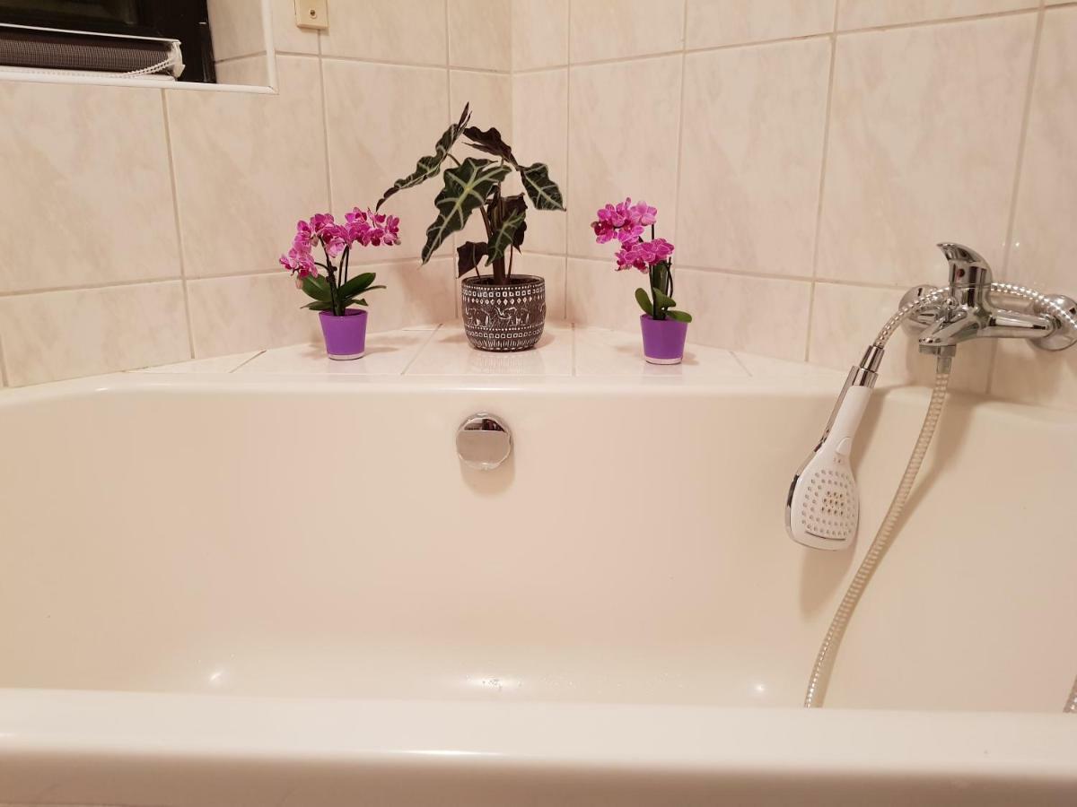 Ferienwohnung Tinas Beauty 内卡尔斯泰纳 外观 照片